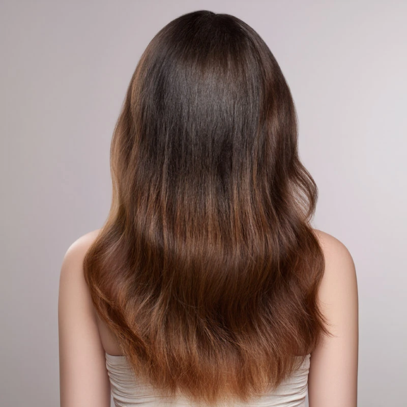 Antes de usar productos capilares Latinoil: cabello seco y con frizz Cabello seco, opaco y con frizz visto desde la parte trasera, antes de usar productos Latinoil.